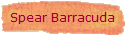 Spear Barracuda
