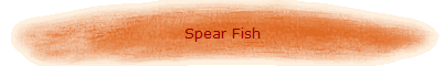 Spear Fish