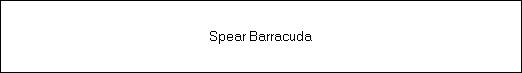 Spear Barracuda